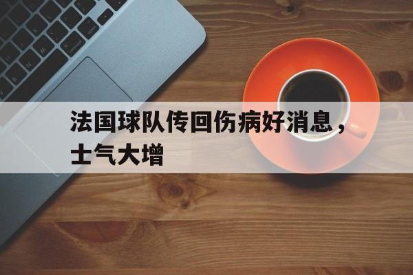 法国球队传回伤病好消息，士气大增的简单介绍